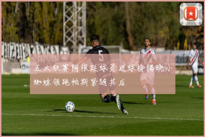 五大联赛阿根廷球员进球榜揭晓小蜘蛛领跑帕斯紧随其后
