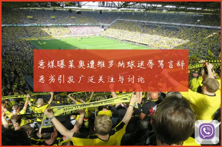 意媒曝莱奥遭维罗纳球迷辱骂言辞恶劣引发广泛关注与讨论