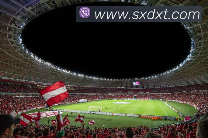 开云在线登录入口官网APP 封面图